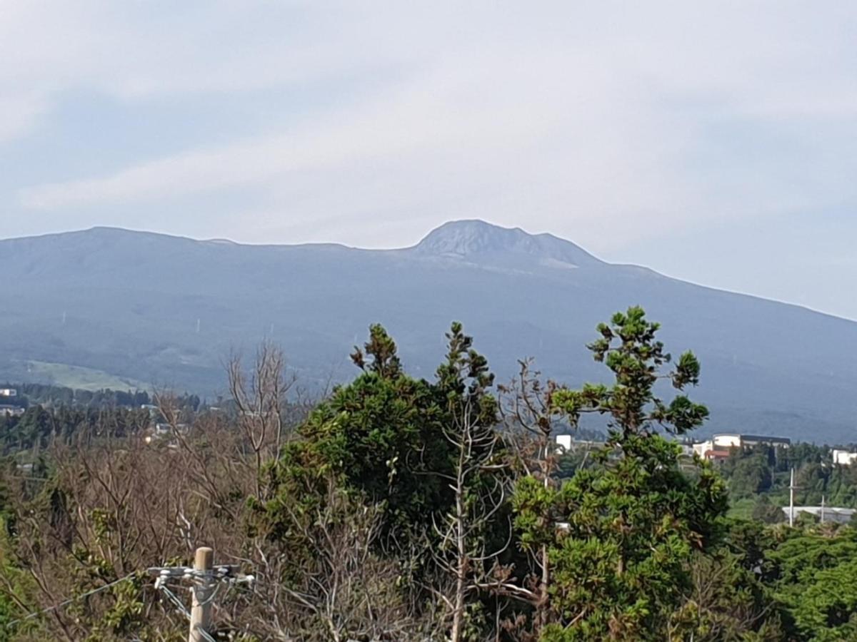 Jeju Soroan Pension Seogwipo Luaran gambar